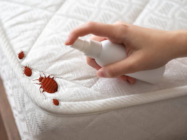 Pest Control Cost in Eastlawn Gardens, PA